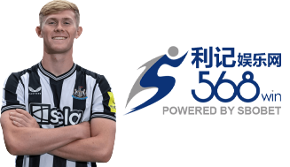 Silverback Multiplier Mountain